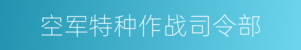 空军特种作战司令部的同义词