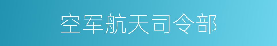 空军航天司令部的同义词