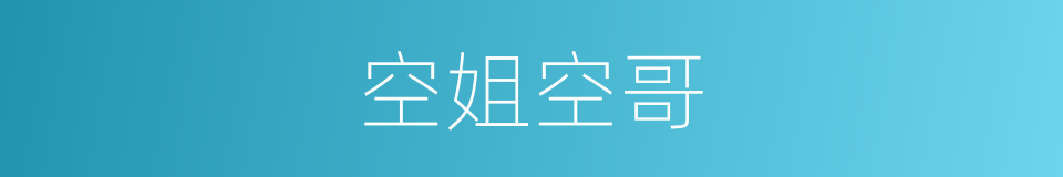 空姐空哥的同义词