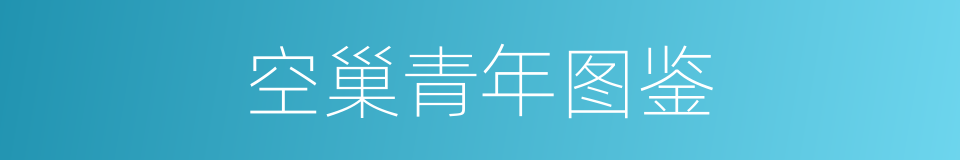 空巢青年图鉴的同义词