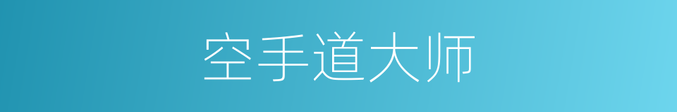 空手道大师的同义词