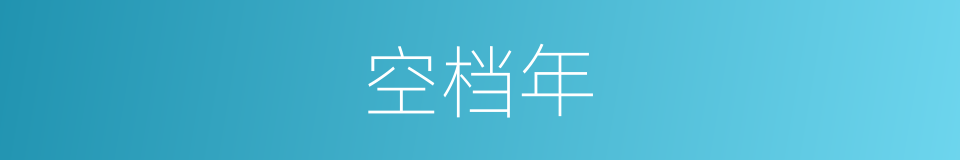 空档年的意思