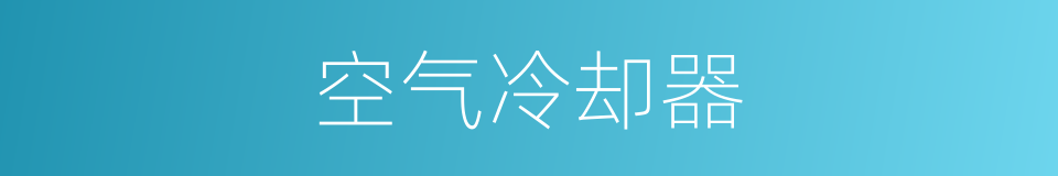 空气冷却器的同义词