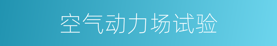 空气动力场试验的同义词