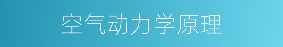 空气动力学原理的同义词