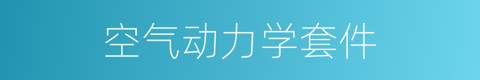 空气动力学套件的同义词