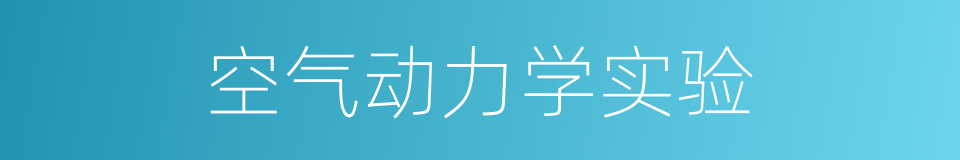 空气动力学实验的同义词