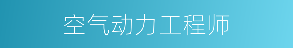 空气动力工程师的同义词