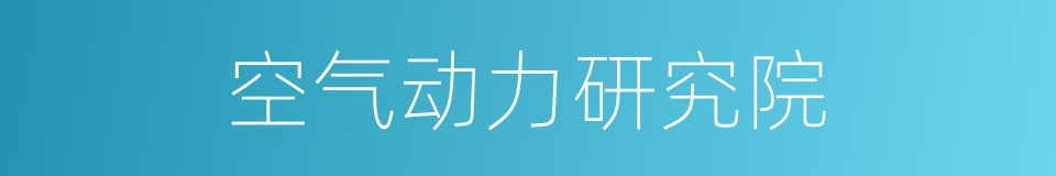 空气动力研究院的同义词