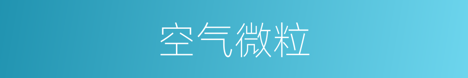 空气微粒的同义词