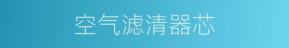 空气滤清器芯的同义词