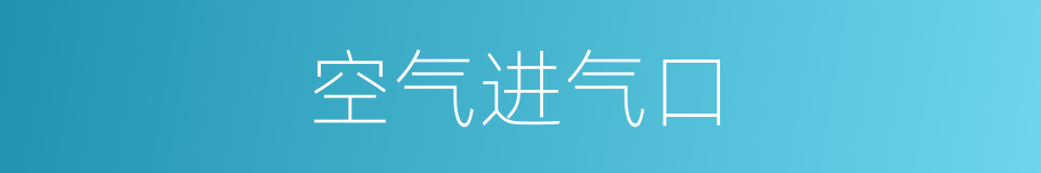 空气进气口的同义词