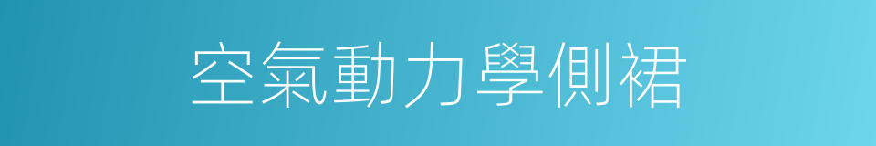 空氣動力學側裙的同義詞