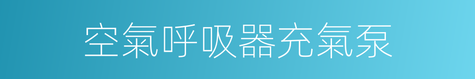 空氣呼吸器充氣泵的同義詞