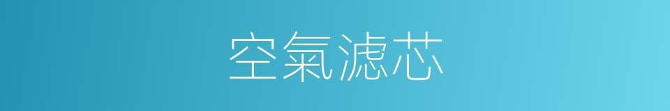 空氣滤芯的同義詞