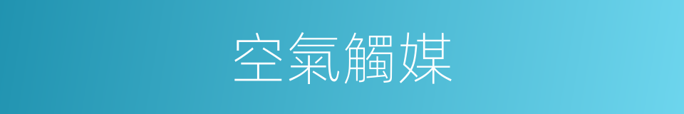 空氣觸媒的同義詞