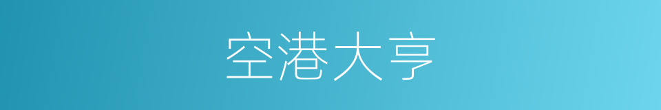 空港大亨的同义词