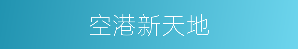 空港新天地的同义词