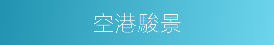 空港駿景的同義詞