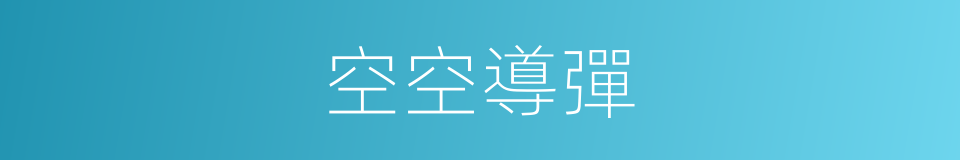 空空導彈的意思