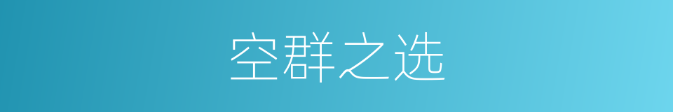 空群之选的意思