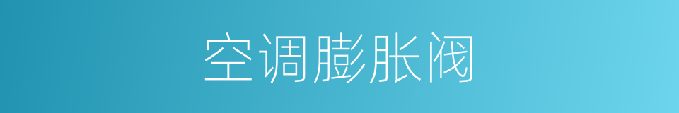 空调膨胀阀的同义词