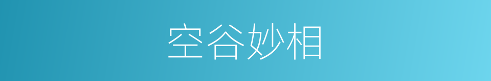 空谷妙相的同义词