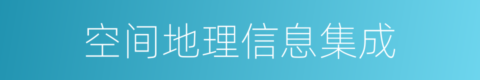 空间地理信息集成的同义词