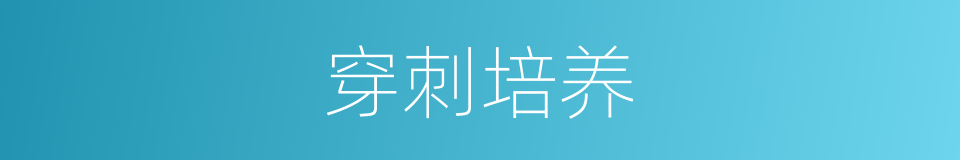 穿刺培养的同义词