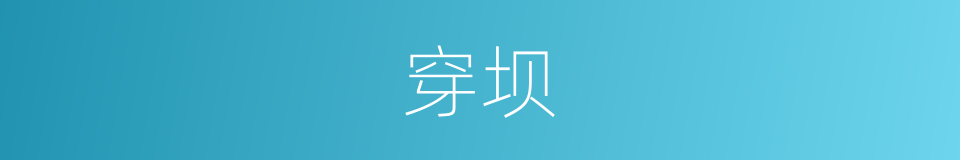 穿坝的同义词