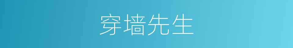 穿墙先生的同义词