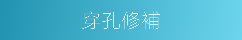 穿孔修補的同義詞