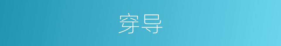 穿导的同义词
