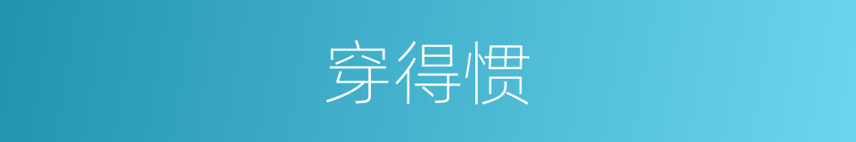 穿得惯的同义词