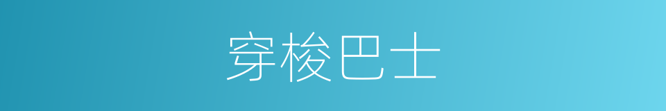 穿梭巴士的同义词