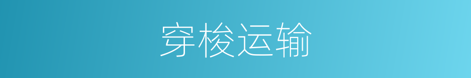 穿梭运输的同义词
