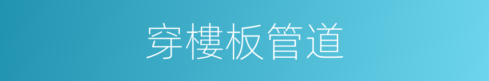 穿樓板管道的同義詞