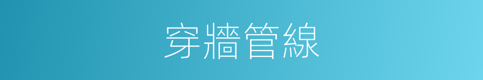 穿牆管線的同義詞