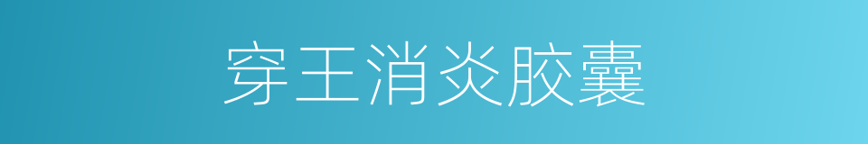 穿王消炎胶囊的同义词