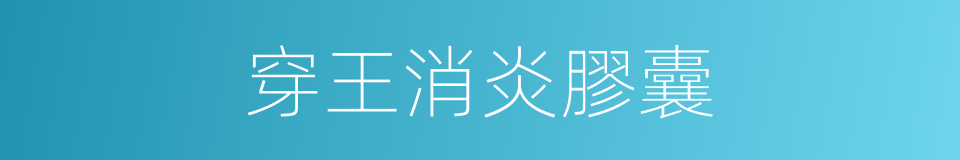 穿王消炎膠囊的同義詞