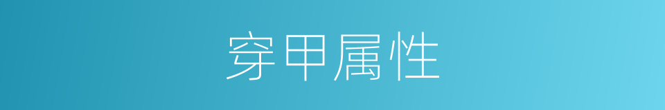 穿甲属性的同义词