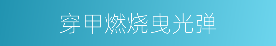 穿甲燃烧曳光弹的同义词