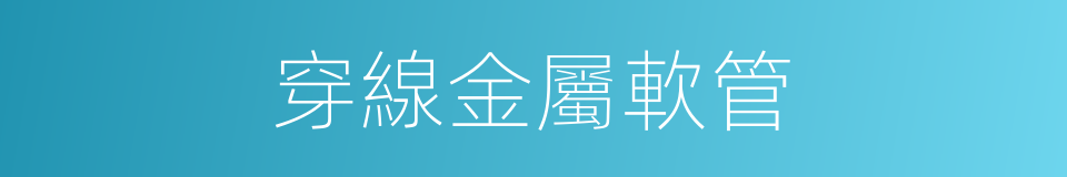穿線金屬軟管的同義詞