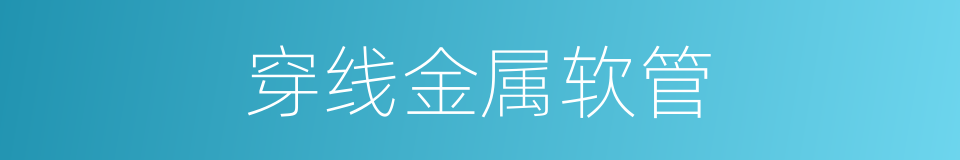 穿线金属软管的同义词