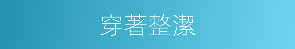 穿著整潔的同義詞