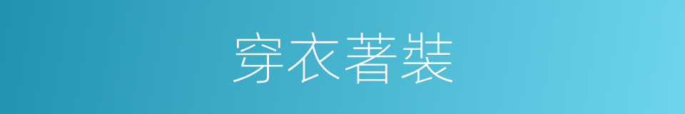 穿衣著裝的同義詞