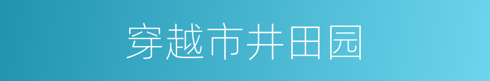 穿越市井田园的同义词