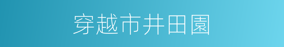 穿越市井田園的同義詞