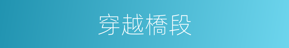 穿越橋段的同義詞