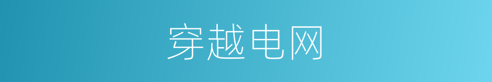 穿越电网的同义词
